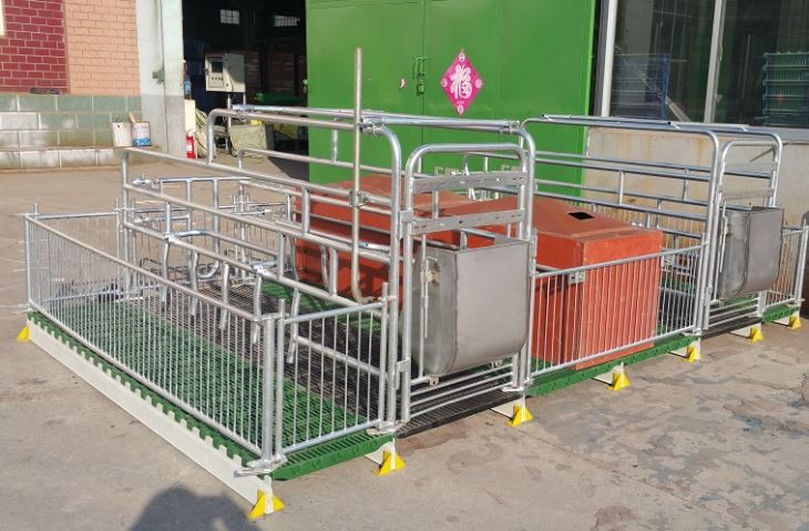 Pig Farm Equipment Pig Farrowing Pen